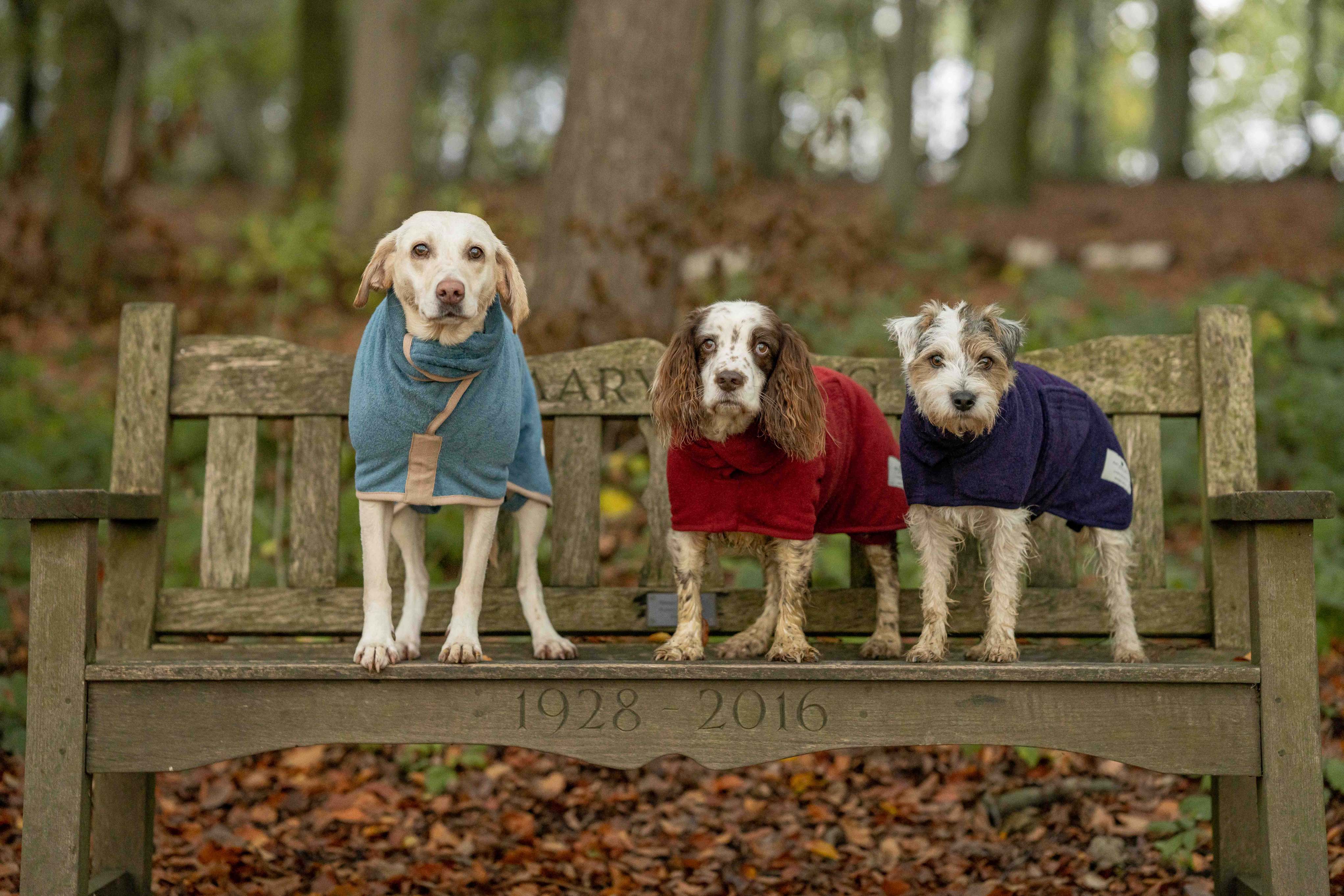 Ruff and tumble top dog drying coats