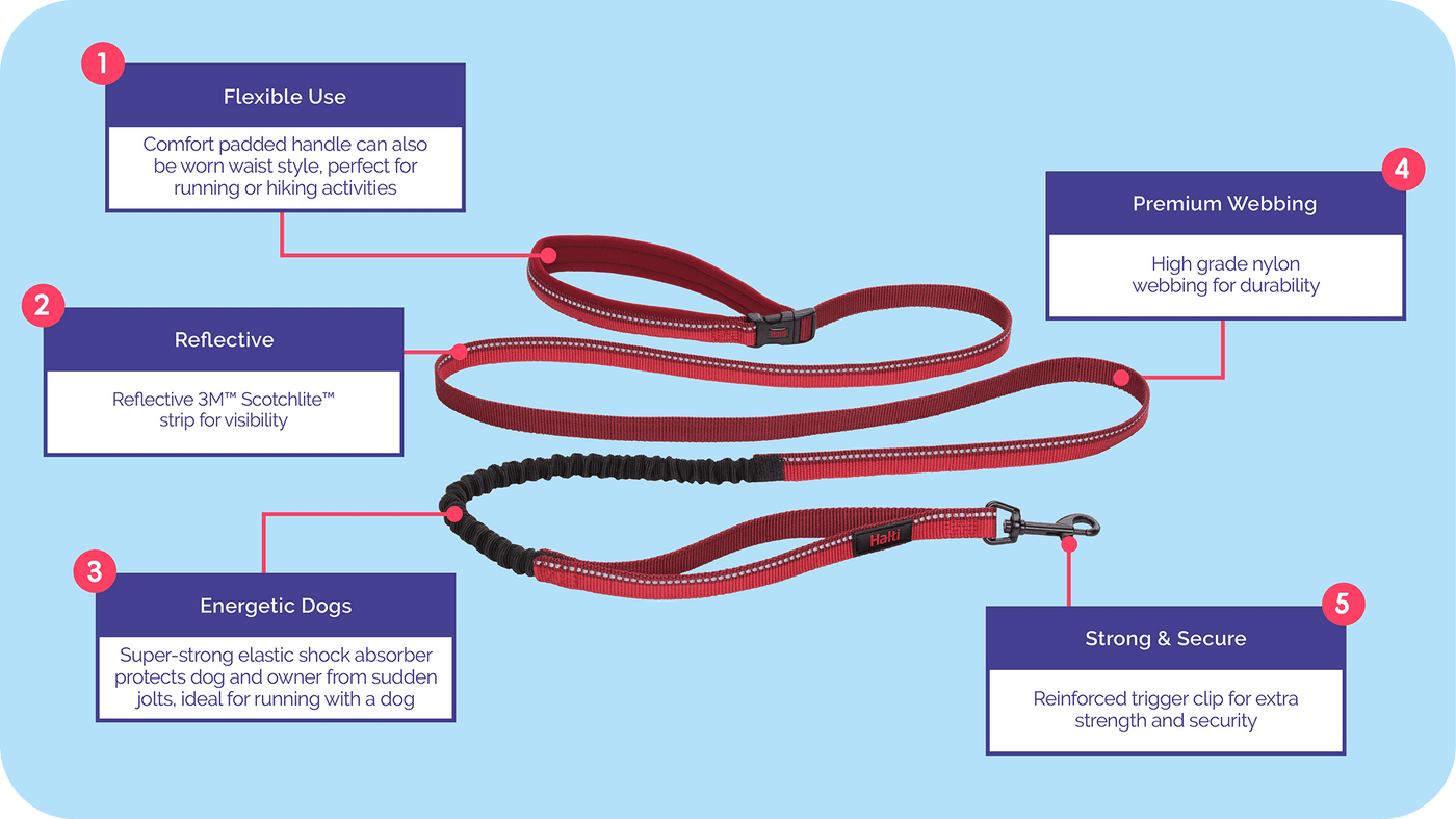 Halti All in One Leads