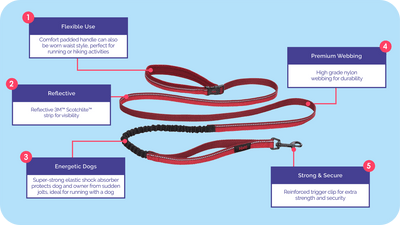 Halti All in One Leads