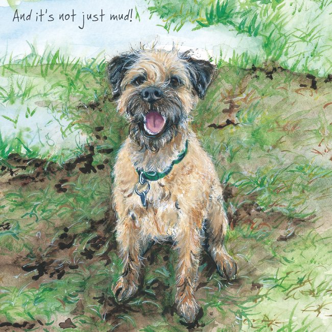 Border Terrier Greeting Card - Not Mud - Distinctive Pets