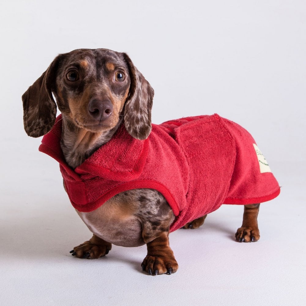 Ruff & Tumble Standard Daxi Drying Coat