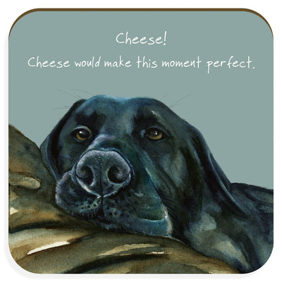 The Little Dog Laughed Coaster - Distinctive Pets