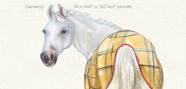 White Horse Greeting Card - Last Season - Distinctive Pets