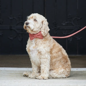 Tweed Collar