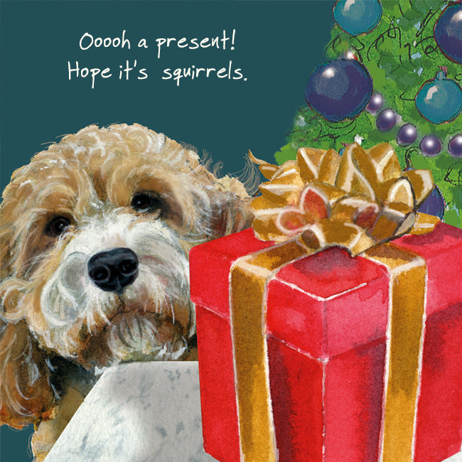 Little Dog Laughed Christmas Cards - Distinctive Pets