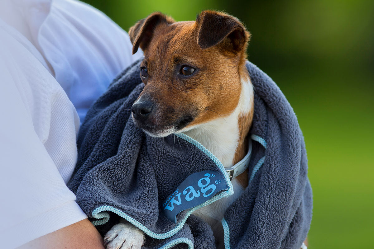 Henry Wag Microfibre Pet Towel - Distinctive Pets