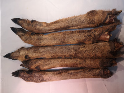 Venison Leg with Fur - Distinctive Pets