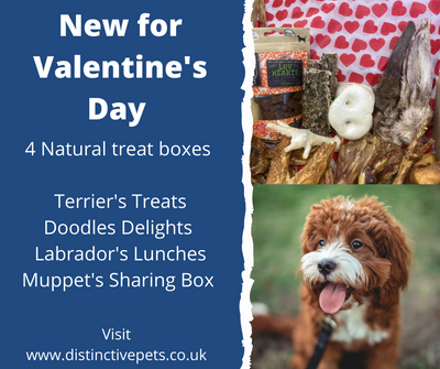 Valentine's Day Natural Treat Box - Distinctive Pets